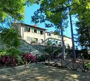 Fattoria di Arsicci - Caprile