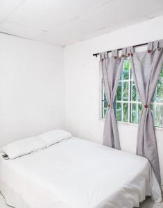 Apartamento hostal oasis 2