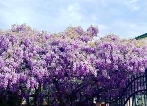 Casa de 2 dormitorios