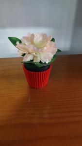 Alojamiento Rincón San Roque