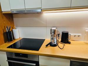 NĀVA PLACE Alpine Apartment in Kaprun - Peaceful Location, Near Glacier & WiFi