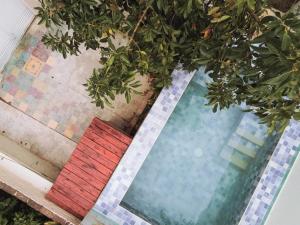 Nido, Los Colibríes VI