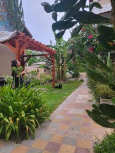 Nido, Los Colibríes VI