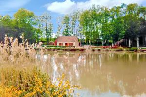 Maisons de vacances Maison conviviale avec piscine a Villentrois 90 m² : photos des chambres