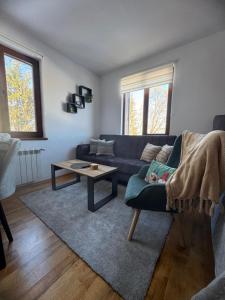 Mountain view Lux Apartment