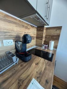 Mountain view Lux Apartment