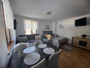 Mountain view Lux Apartment