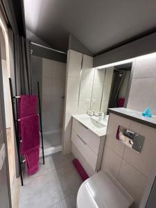 Appartements L-Esquisse en Rose - Parking Clim Netflix Canal : photos des chambres
