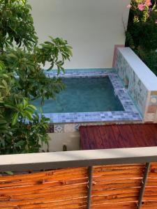 Elefante en Edén VII