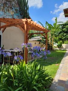 Elefante en Edén VII