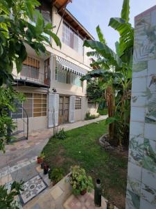 Elefante en Edén VII