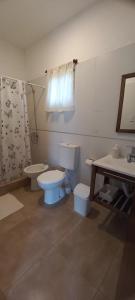 Las lechuzas Miramar