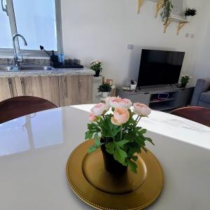 Villa in Punta Cana with pool in common area