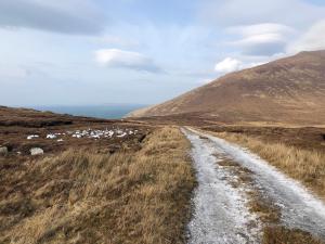 Teach Cruachan Large-Group Holiday Home