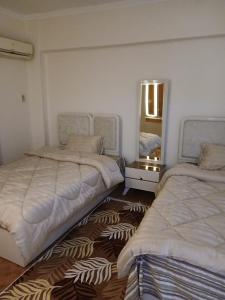 مدينة نصر ارض الجولف