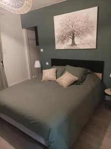 Villa de cammas - 布雷索勒