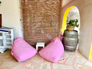 Maisons d'hotes Domaine Colibri en Provence : photos des chambres