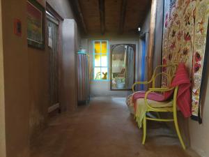 Paraíso de Violetas