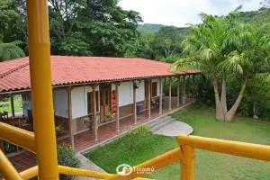 Tinamu Birding - Rizaralda