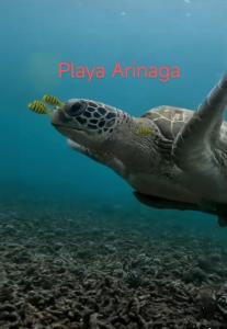 Seaview Faro Arinaga