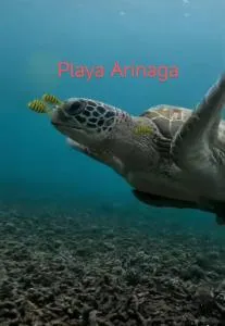 Seaview Faro Arinaga - Arinaga