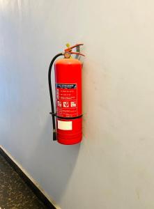 Majestic cozy Apartment