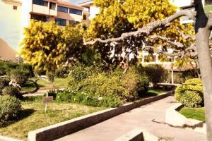 Appartements Studio charmant a Frejus avec piscine commune - 30 m² : photos des chambres