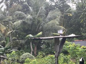 KULASEWANA Villa