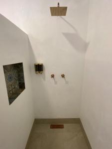 Tambo del Café