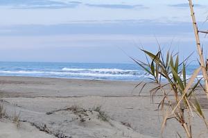 Can FRANCES - Parking-Garage-2 jardins-Terrasse-BRASERO-MER-Wifi