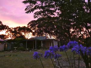 Severn River Cottages