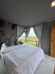 นาน้าหมูฟาร์มสเตย์ NanamooFarmStay - Ban Khok Khilek