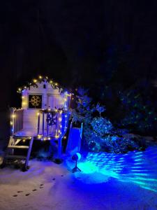 Viešnagė pas Valentiną