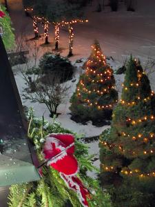 Viešnagė pas Valentiną