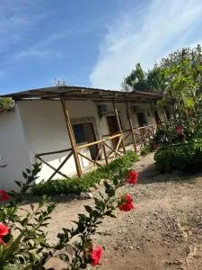 Zanzllywood Uroa Beach Apartments - 米查维