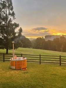 Black Cockatoo Bangalow - Goonellabah