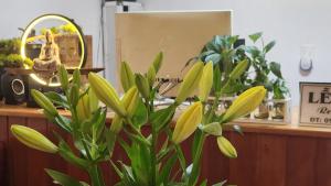 Nhà Nâu Homestay DL- by BAY LUXURY