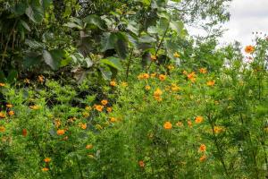 Villa Saluka - Romantic & Serene with Sunset View