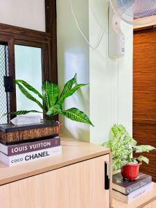 DLagoon Mountain Resort