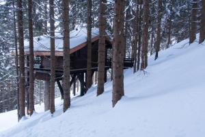 Lodges Cabane entre terre et ciel : photos des chambres