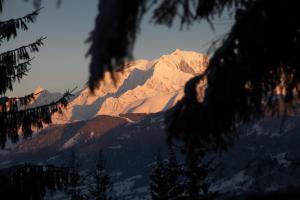 Lodges Cabane entre terre et ciel : photos des chambres