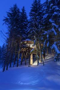 Lodges Cabane entre terre et ciel : photos des chambres