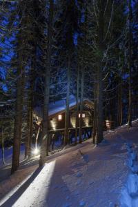 Lodges Cabane entre terre et ciel : photos des chambres