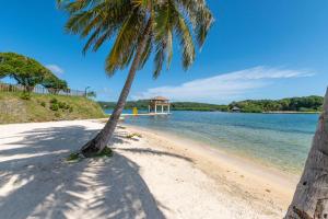 Paradise Reef Villas