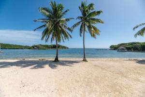 Paradise Reef Villas