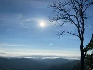 กาแฟอาลูลู ดอยล้าน - Ban Nong Bua (1)