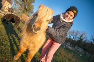 B&B / Chambres d'hotes Ferme des Petites Oreilles 4 etoiles : photos des chambres