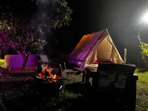 la perle d'hamaya - Îlet du Peter-Boot