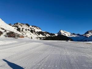 Appartements Magnifique Duplex de 56m2 pour 6 Personnes : photos des chambres