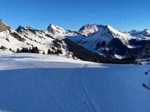 Appartements Magnifique Duplex de 56m2 pour 6 Personnes : photos des chambres